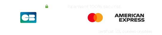 ssl-secured-payment paiement-securisé-par-certificat-ssl-synthwave-adc-vision
